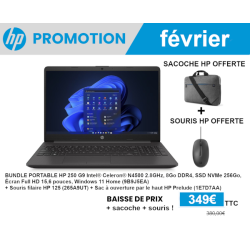 BUNDLE PC PORTABLE HP 250 G9 9B9J5EA + SACOCHE + SOURIS FILAIRE - Promotion