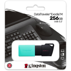 Key USB 3.2 Kingston 256Gb...