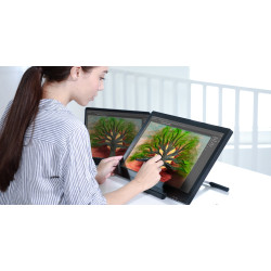Pen Display Huion Kamvas 20 – AS NEW with original packaging and all accessories